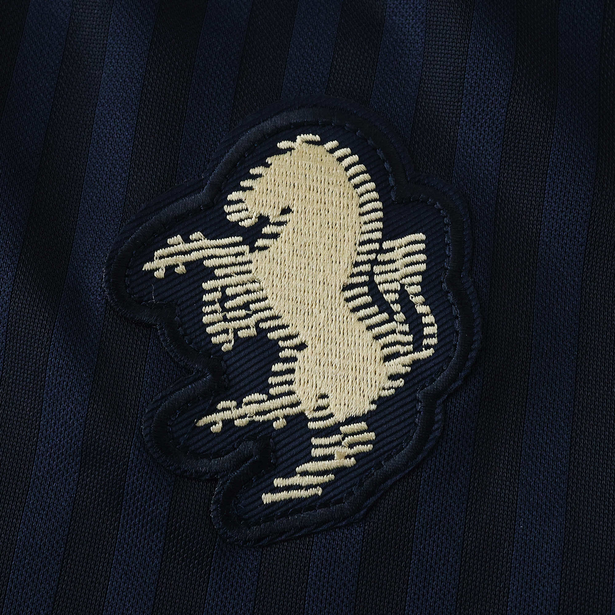 JUV Jersey Concept