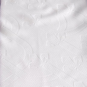 FIO Maglia Authentic Home 25/26