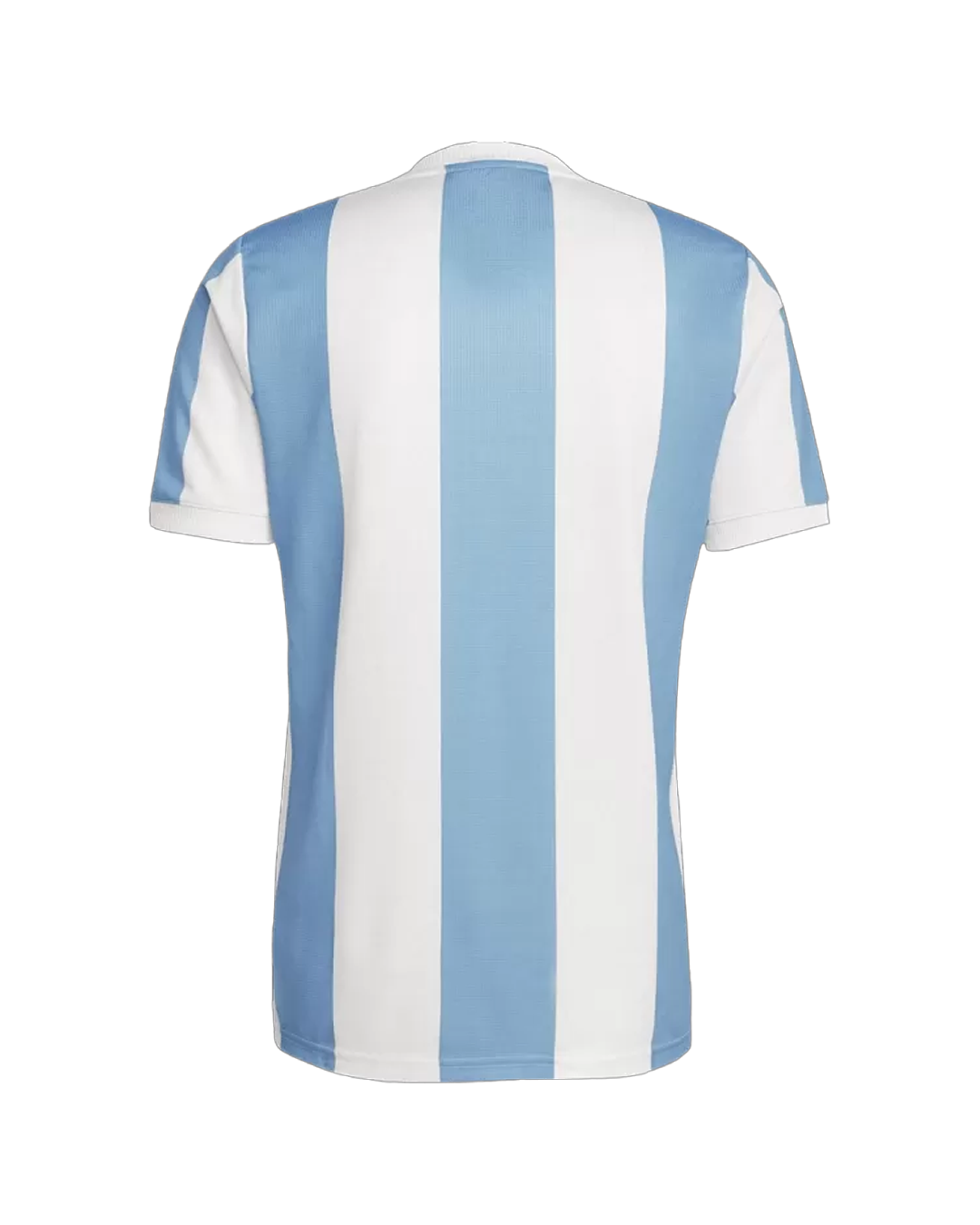 ARG Jersey 100 Special Edition — back