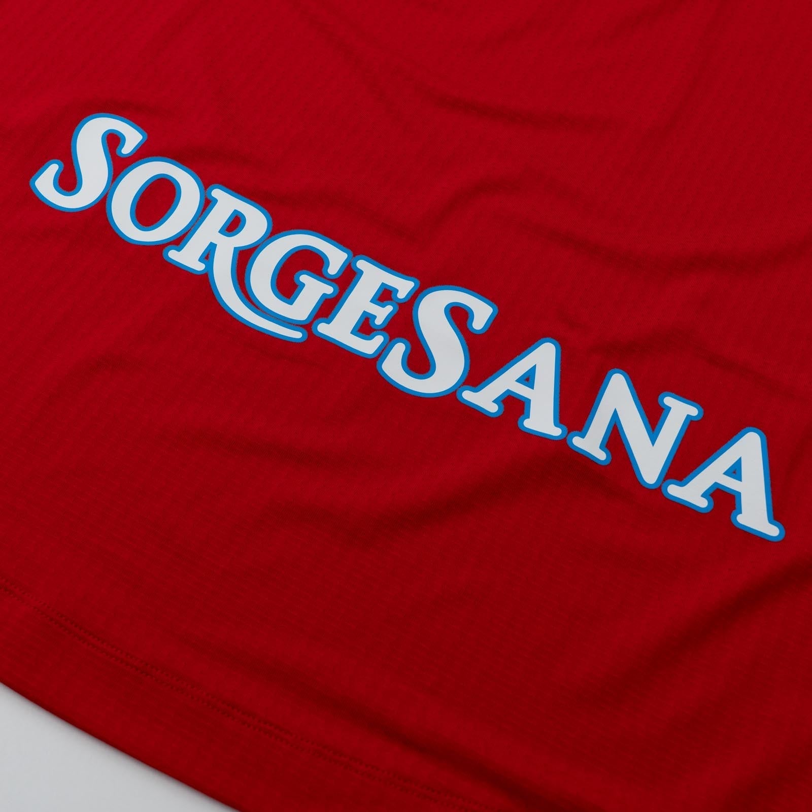 Napoli Third 26/27 back detail
